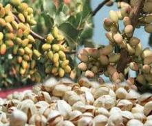 ضعف سرمايه گذاري در اقتصاد کشاورزي