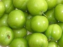 آغاز برداشت میوه های سردرختی از باغات شهرستان ساوه