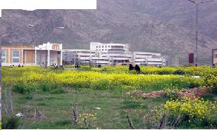 رتبه دوم به طرح زیر دریایی دانشگاه رازی کرمانشاه رسید