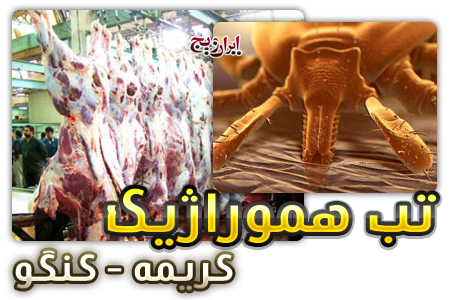 آموزش بهترین راه مبارزه با بیماری تب 'كریمه - كنگو' است