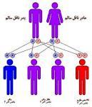 در تالاسمی مینور چه اختلالی وجود دارد ؟