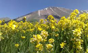 فیلم / تصاویر دیدنی از دامنه سهند