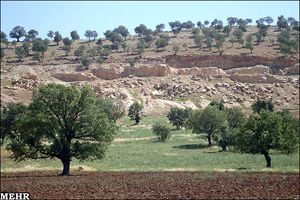 صدور نخستین سند كشاورزی ایران برمبنای طرح كاداستر اراضی در فارس
