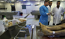 پیگیری مصوبات سفرهای استانی در حوزه پزشکی قانونی