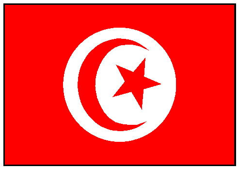 20 سال زندان براي ديکتاتور تونس