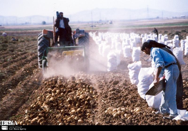 تغییر کاربری غیرمجاز 31 هکتار زمین کشاورزی در شرق گلستان
