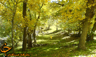 باغ گیاه شناسی دارویی راه اندازی شد