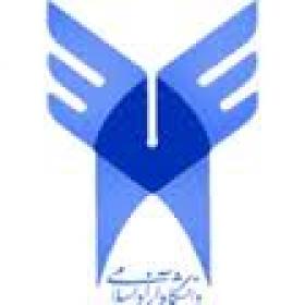تیم روبوکاپ قزوین در مسابقات جهانی مکزیک