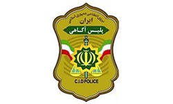 تیم کیف‌قاپی خانوادگی در کرمان منهدم شد