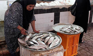 400 تن ماهيان خوراكي در ساوجبلاغ توليد مي شود