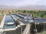 تشکیل بانک سلولی ماهیان خاویاری دریای خزردرآینده نزدیک