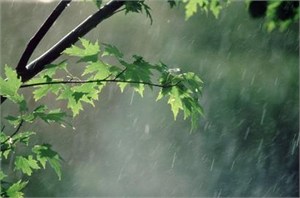 نسیم بهاری در آخرین روز فصل بهار