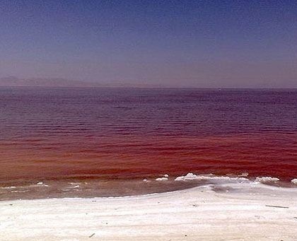واگذاری حفظ و احیاء دریاچه ارومیه به بخش خصوصی