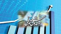 فرزین مدیرعامل صندوق توسعه ملی شد