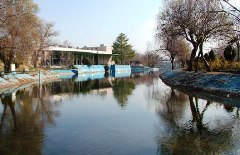 14 هزار قطعه ماهی در پارک ملت رها شد