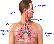 آمبولی ریه چگونه به وجود می آید ؟