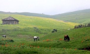 12 ایل عشایر آذربایجان غربی راهی کوچ ییلاقی شدند