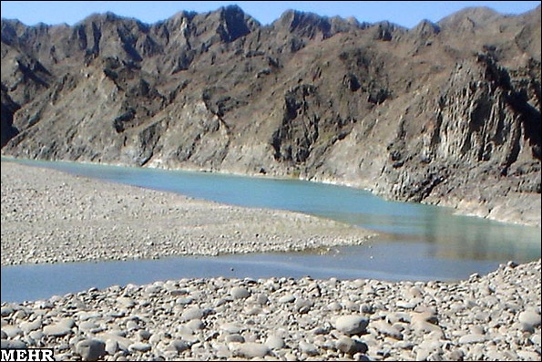 پرندگان تالاب هامون