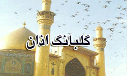 دانش آموزان قمی موفق به كسب پنج رتبه شدند