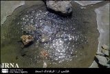 زمین لرزه های آبدانان میزان آبدهی چشمه های آب منطقه ‏را افزایش داده است ‏