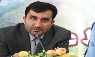هیچ جایگزینی برای فعاليت هاي پزشكي قانوني وجود ندارد