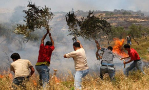 مزارع فلسطينيان بدست صهيونيستها به آتش كشيده شد