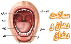علل بوی بد دهان و راهکارهای کنترل آن