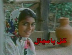 "گل پامچال" پشت صحنه جنگ تحمیلی را روایت می کند