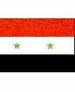 دولت سوریه نتایج نشست ژنو را پذیرفت