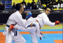کسب یک نشان نقره توسط نیما رکنی نخی