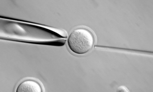 نوع جدیدی از  DNA ما را در مقابله با مواد خطرناک کمک می کند
