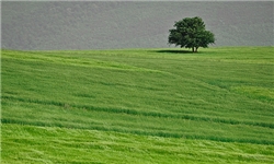 گردهمایی منابع طبیعی و آبخیزداری در زنجان