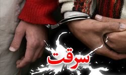 24 فقره سرقت در قزوین رمز گشایی شد