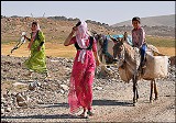 ‎‏ زیبایی در عین تلاش بی وقفه/ زندگی 60 هزار عشایر در ایلام