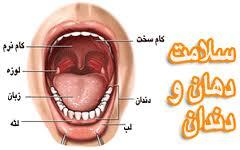 علت تلخی دهان چیست ؟