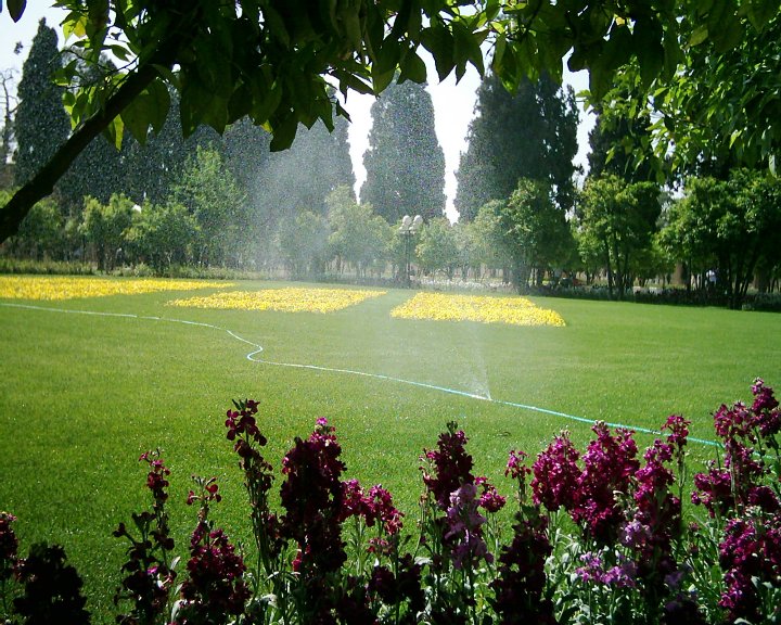 برگزاري نخستين جشنواره طبیعت گردی در استان چهارمحال وبختیاری