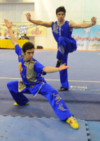 قضاوت داوران سنندجي در رقابت هاي بين المللي ووشو