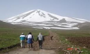 چرا پیاده روی؟