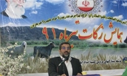ایجاد 6 هزار فرصت شغلی برای مددجویان کمیته امداد