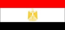 نشست اعضاي پارلمان منحل شده مصر آغاز شد