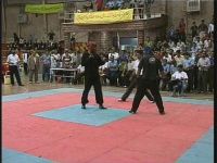 سنندج میزبان مسابقات کشوری کونگ فو