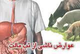 تب مالت و نشانه های آن