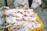 زنجان یکی ازاستان های موفق درتثبیت قیمت مرغ