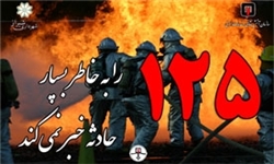 باغ خیابان کریم‌خان شیراز در آتش سوخت