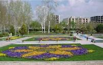 استفاده از فاضلاب تصفیه شده برای آبیاری فضای سبز مشهد