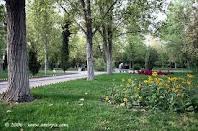 اختصاص بیش از 7 میلیارد ریال اعتبار برای اصلاح و احیا باغات در بابل