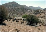 بحران خشکسالی در ایلام
