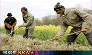 تصویب بیش از 760 طرح کشاورزی در ارومیه