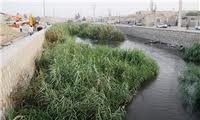 آغاز ساماندهی خور شیلات دربندرعباس