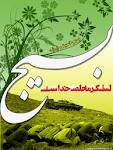 بسيج بزرگترين ظرفيت نظام مقدس جمهوري اسلامي است